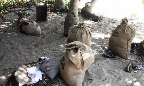 Isola dei Famosi 2019: chi trova il «cocco d’oro» va in finale