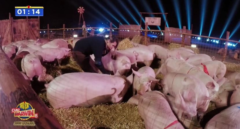 Ciao Darwin 8 - Prova coraggio Gay Pride