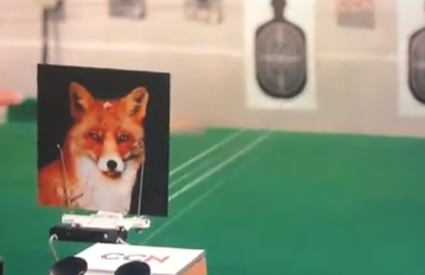 Giancarlo Magalli spara alla volpe. Adriana non ci sta