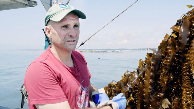 Ice On Fire: su Sky il docu-film prodotto da Leonardo Di Caprio sui danni derivanti dai cambiamenti climatici