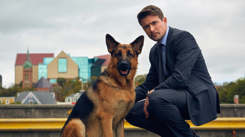 Hudson & Rex: il famoso cane poliziotto è tornato