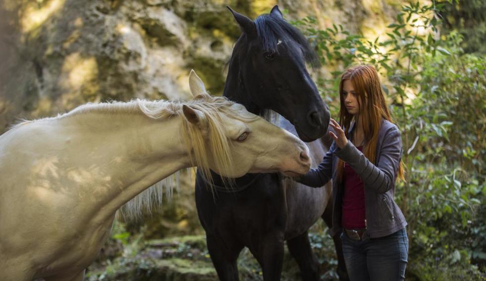 Ascolti TV | Mercoledì 28 agosto 2019. Windstorm – Contro ogni Regola vince con il 15.2%. Crisi di Governo: Speciale Tg1 8.3%, In Onda 5.7%, Stasera Italia 4.4%