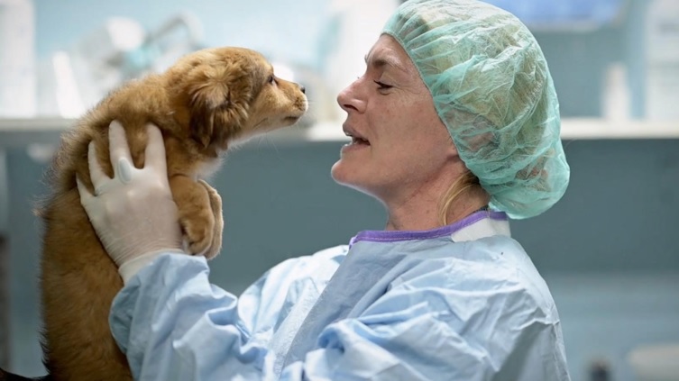 That’s Amore: il rapporto tra gli uomini e i loro animali domestici nel nuovo programma di Rai 3