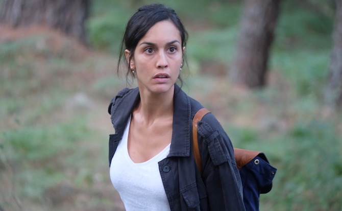 Ascolti TV | Domenica 10 novembre 2019. La Caccia parte con l’11.7%. Rai1 (11.3%) e Rai3 (2.2%) crollano e Fazio ne approfitta (9.7%-10.5%). Le Iene 12.6%. Juve-Milan 10.4%