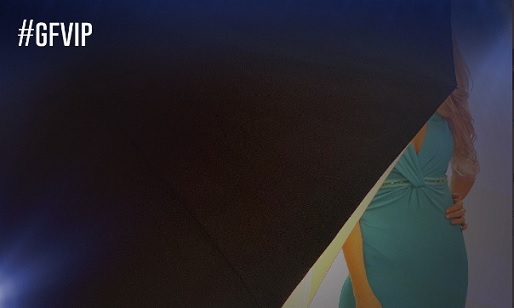 Grande Fratello Vip 2020: chi sono i concorrenti?