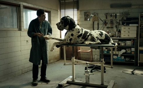 Programmi TV di stasera, sabato 11 gennaio 2020. Su Rai3 «Dogman»