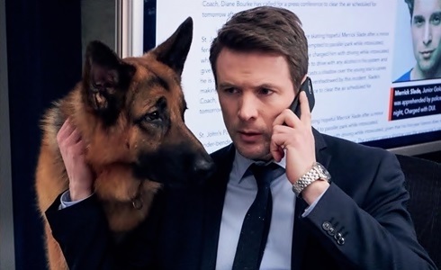 Programmi TV di stasera, giovedì 27 agosto 2020. Su Rai3 nuovo appuntamento con le indagini di «Hudson & Rex»