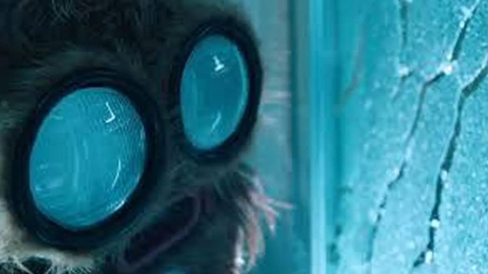 Into The Dark: su RaiPlay i nuovi episodi della serie horror