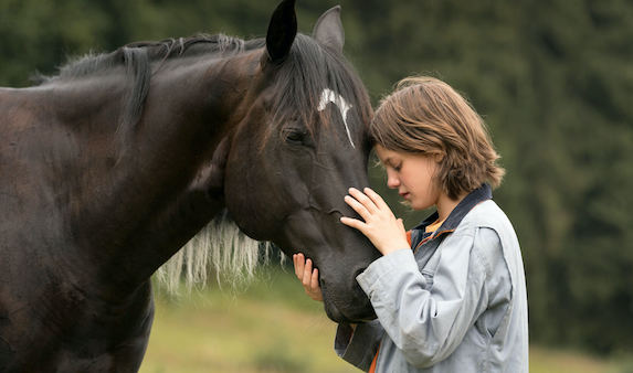 Ascolti TV | Martedì 8 settembre 2020. Ammiraglie flop, la rivelazione è Boss in incognito (10.63%). Equilibrio tra Floris (5.54%), Giordano (5.82%), Berlinguer (5.43%). Bortone 10.12%, D’Urso (14.69%-15.37%) sorpassa Matano (14.25%)