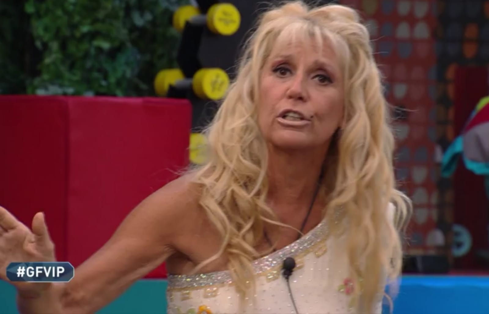 GF Vip 5, Amedeo Goria definisce Guenda «bipolare». La Ruta lo sbrana: «Cosa ti sei fumato? Non puoi parlare cosi di tua figlia di cui non sai niente!»