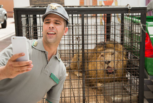 quo vado quo vado ascolti tv