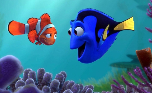 Programmi TV di stasera, mercoledì 23 dicembre 2020. Su Rai2 «Alla ricerca di Nemo»