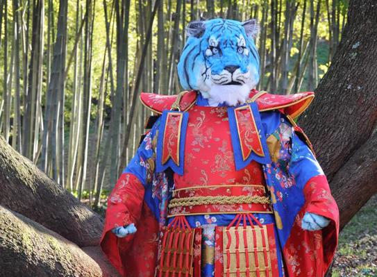 Il Cantante Mascherato 2 - Tigre Azzurra