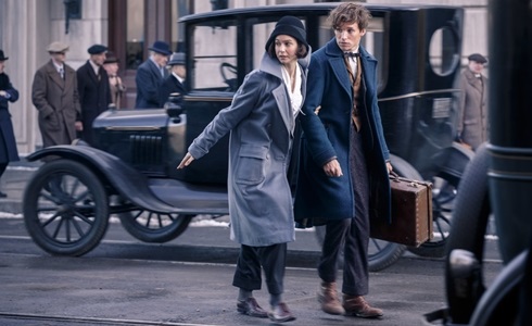 Programmi TV di stasera, giovedì 18 febbraio 2021. Su Canale5 il film «Animali fantastici e dove trovarli»