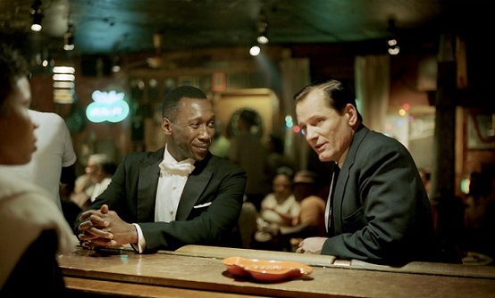 Programmi TV di stasera, mercoledì 17 marzo 2021. La prima tv di «Green Book» tra «Rocco Schiavone» e la replica di «Sole a Catinelle»