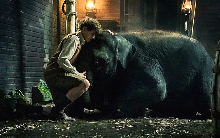 Programmi TV di stasera, domenica 4 aprile 2021. In prima tv su Canale 5 «Zoo – Un amico da salvare»