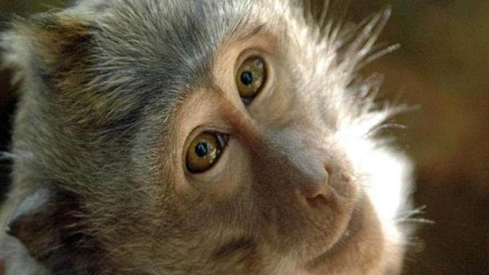 Ascolti TV | Mercoledì 11 Agosto 2021. Superquark vince con il 13.4%, All Together Now 10.9%. Record Morning News (15.8%-15.1%) che batte la Autieri (13.8%)