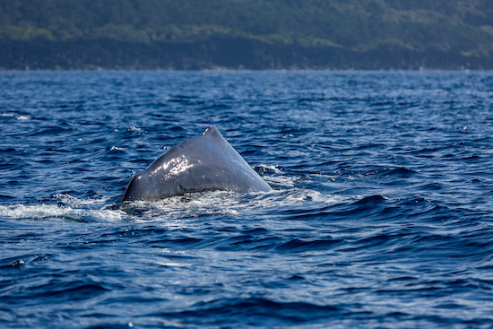 ©FilippoTenti-overland.02.05