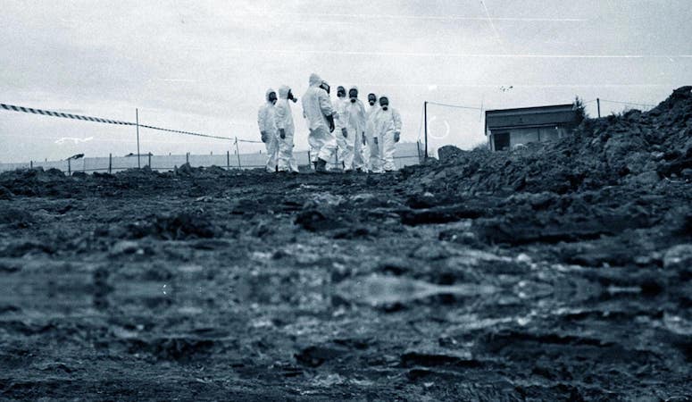 Ossi di Seppia: nella seconda stagione l’incidente di Schumacher e il virus dell’aviaria