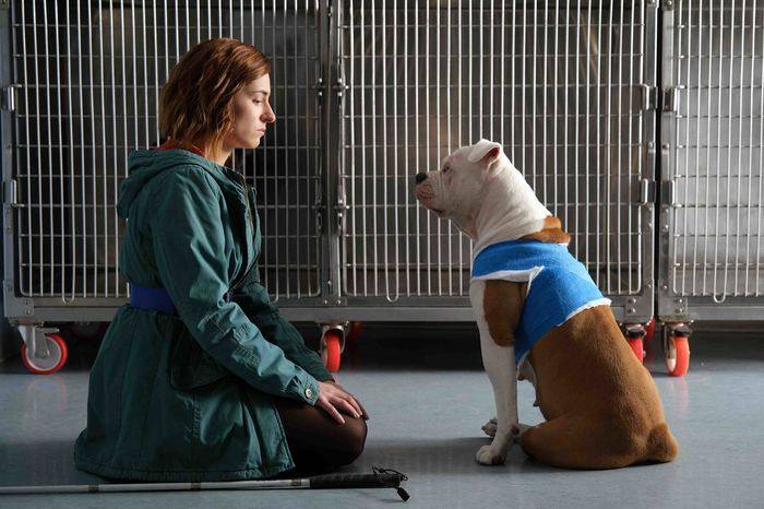 blanca-fiction Blanca