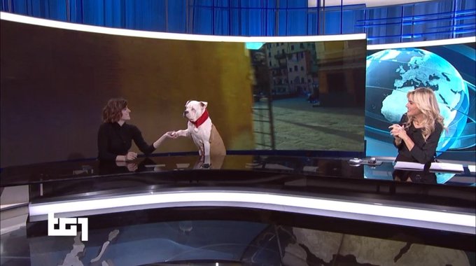 Blanca al Tg1 delle 20