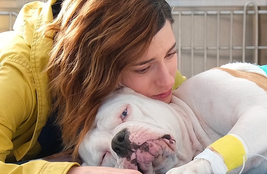 Ascolti TV | Martedì 21 Dicembre 2021. Record per il finale di Blanca (5,8 mln – 27.94%), Il Primo Natale 15.95% (3,3 mln). Floppa Il Circolo degli Anelli (1.96%). In calo Pomeriggio 5 News (13.63%-12.83%)