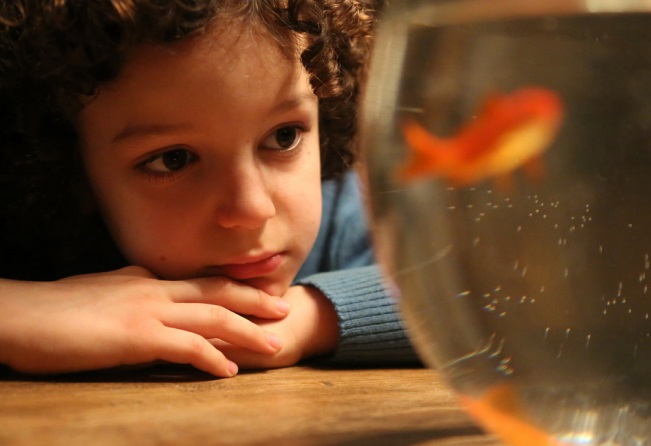 La Sposa - Antonio Nicolai