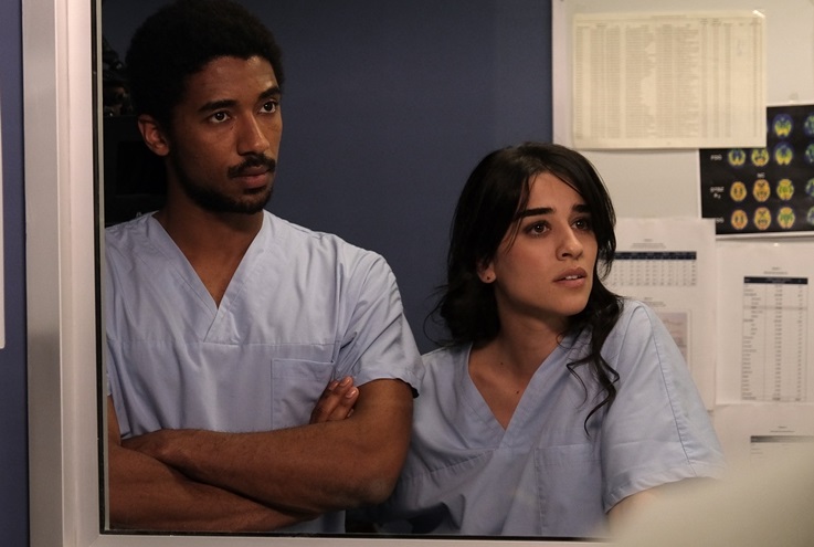 Ascolti TV | Giovedì 17 febbraio 2022. Lo scontro con Doc (6,5 mln – 28.7%) penalizza il Grande Fratello Vip  (2,9 mln – 19.2%)