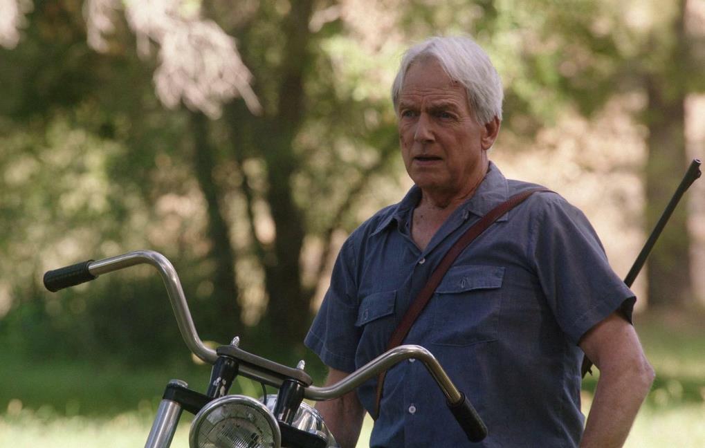 Guerra dell’access: NCIS raddoppia anche stasera