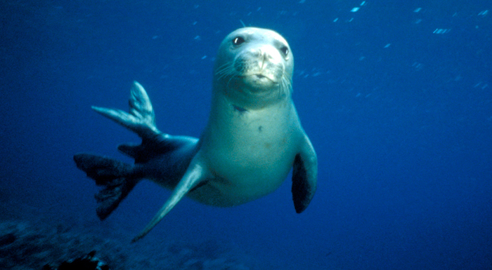 Claudia Pandolfi racconta il Mediterraneo su Rai2