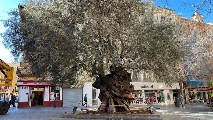 piazza raffaella carra'