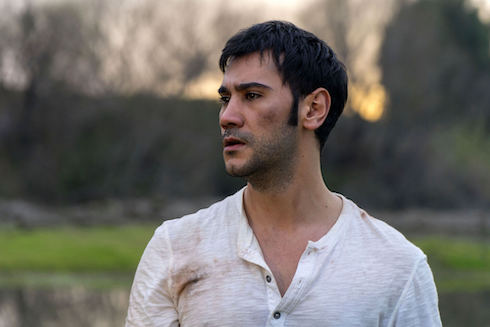 terra amara ylmaz Terra Amara