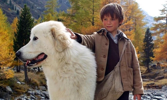 Ascolti TV | Lunedì 1 Agosto 2022. Belle & Sebastien vince con il 15.6%, Hunziker 10.7%. La corsa al voto de La7 parte dal 5.4% (739 mila) vs Zona Bianca (6.9% – 814 mila)