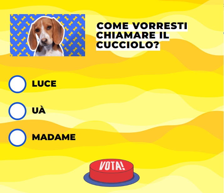 Il sondaggio di Striscia la Notizia