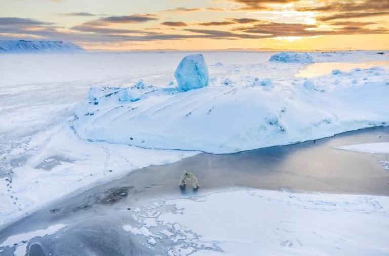 Programmi TV di stasera, giovedì 22 dicembre 2022. Al via su Rete4 Frozen Planet II