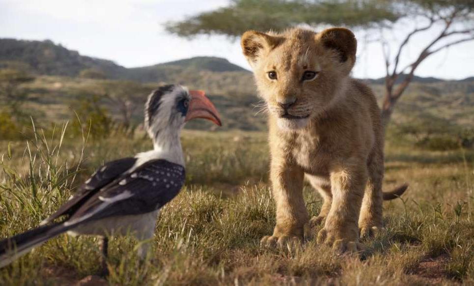 Ascolti TV | Lunedì 2 Gennaio 2023. Vince il GF Vip (2,9 mln – 21.9%), Il Re Leone al 16.5% (3 mln). Bene Top Gun (6.8%)