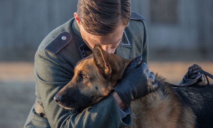 Programmi TV di stasera, mercoledì 25 gennaio 2023. Su Rai1 la prima visione di ‘Zack Cane Eroe’