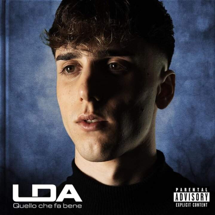 Cover Quello che fa bene LDA