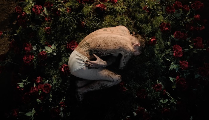 Caso Blanco, parla la fiorista di Sanremo: «Era tutto previsto ma la parte finale doveva essere più soft» – Video dell’Isola delle Rose