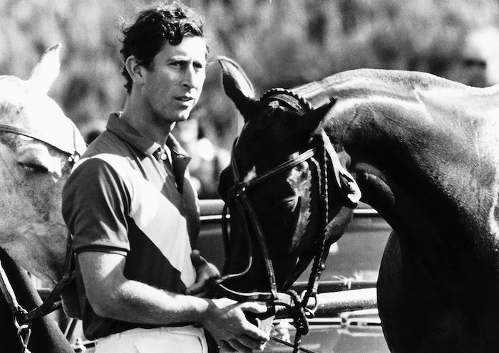 Come seguire in TV l’Incoronazione di Carlo III