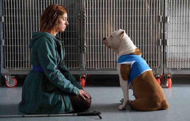 Ascolti TV | Domenica 11 Giugno 2023. Blanca vince con il 15.6%, Rocketman fermo all’8.5%. La finale dei Mondiali Under 20 al 16.6%. Domenica In saluta col 19-18.7-18.8%