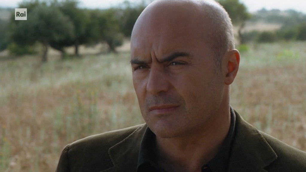 Ascolti TV | Lunedì 18 settembre 2023. Grande Fratello fatica (18%), vince Montalbano (19.6%), Presadiretta sale al 5.8% e supera Quarta Repubblica (5.2%), Fake Show parte dal 5.1%. In crescita Affari Tuoi (19.8%). Pomeriggio 5 senza Matano 19.4%-18.4%. I Fatti Vostri 7.8%-7.1%