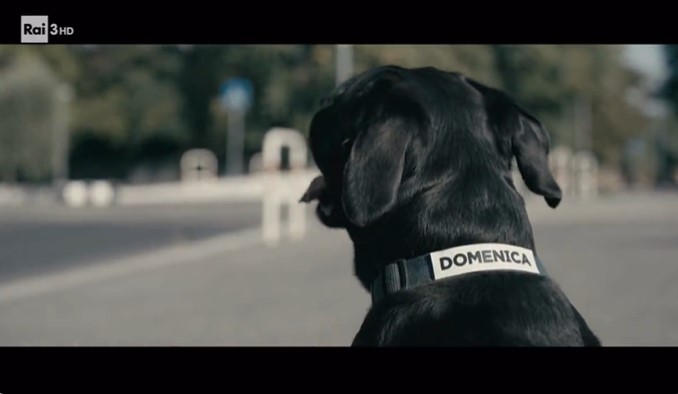 Non so se avete capito che Report va di domenica – Promo