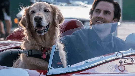 Programmi TV di stasera, martedì 31 ottobre 2023. Su Canale 5 il film ‘Attraverso i miei occhi’