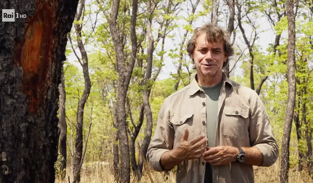 Ascolti TV | Lunedì 1 gennaio 2024. Meraviglie d’Africa vince di poco (16.1% – 2,5 mln) sulla prima di Natale a Tutti i Costi (14.6% – 2,5 mln)