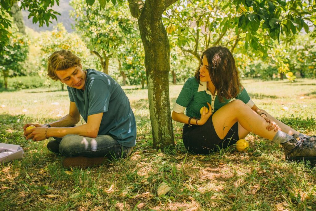 Prisma cancellata. Non ci sarà una terza stagione