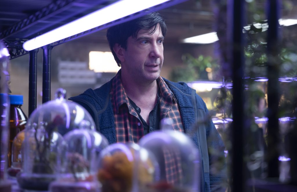 David Schwimmer in Piccoli Brividi: La misteriosa avventura