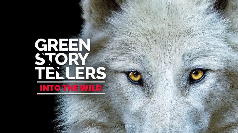 La locandina della terza stagione di Green Storytellers