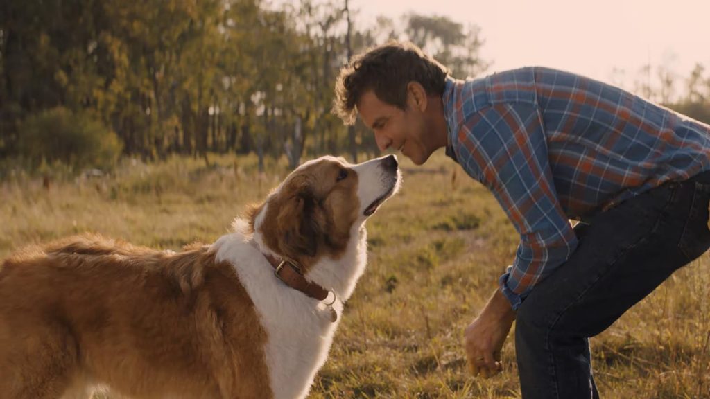 Ascolti TV Total Audience | Giovedì 2 Gennaio 2025. La Supercoppa che sale al 26% con +136k (+33 mila per il pre). Affari Tuoi +22k (27%)