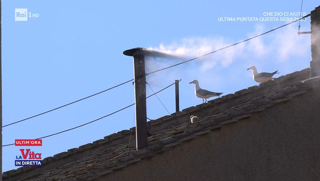 Fumata bianca, TG1 scansa La Vita in Diretta